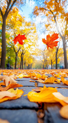 Canvas Print - leaves in shades of red and yellow gracefully float above a stone pathway. the area is surrounded by
