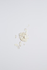 Leinwandbilder - Minimalist Coconut Chips on White Background with Soft Lighting