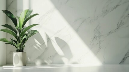 Aufkleber - Bright and airy setting showcases a sleek white kitchen adorned with a chic potted plant. Natural light streams through, casting elegant shadows on the marble surface, enhancing the tranquil vibe
