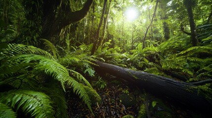 Poster - Exploring a lush rainforest ecosystem vibrant green foliage in nature's heart beautiful landscape view