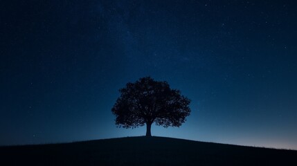 Poster - A minimalist image of a single tree silhouetted against a vast, starry night sky 