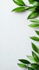 Poster - A white background with green leaves on it