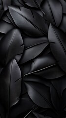 Poster - A black and white photo of feathers with a black background