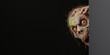 © OleksandrZastrozhnov - A zombie woman's head is peeking out from behind a black background. The image has a creepy and eerie mood, with the zombie woman's eyes glowing red and her mouth open in a scream