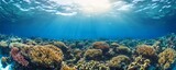 Underwater view of a vibrant coral reef with sunlight shining down