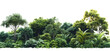 © BOTAHRY DEX - PNG Amazon rainforest landscape nature outdoors scenery.