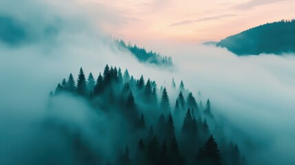 Wall Mural - Serene mist envelops a fir forest with majestic mountains, creating a breathtaking aerial view of natures beauty.