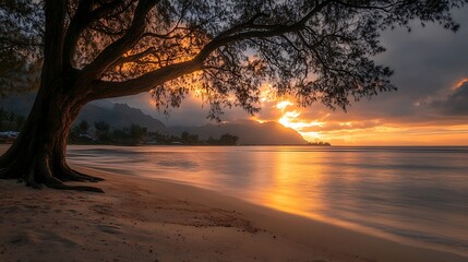 Poster - Serene Sunset Beach Scene with Tree Silhouette