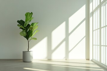 Poster - Indoor plant by the window bathed in sunlight minimal decor for a bright airy space
