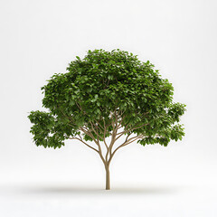 vibrant leafy tree nature scene 3d render minimalist background close-up view botanical concept