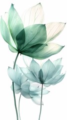 Fototapete - Green lotus leaf texture illustration poster background