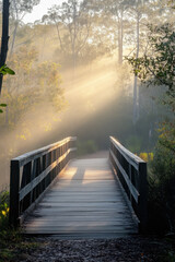 Wall Mural - Sunlight filters through early morning mist over a wooden bridge in a tranquil forest setting, creating a serene and ethereal atmosphere.