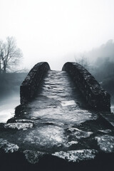 Wall Mural - A misty stone bridge leads into the foggy forest, creating an eerie and mysterious atmosphere.
