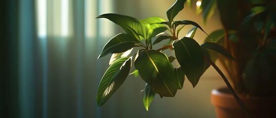 Poster - Lush and vibrant green foliage with intricate patterns and textures illuminated by soft natural sunlight and complemented by delicate shadows creating a serene and captivating natural environment
