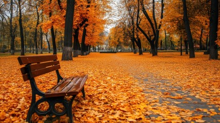 Aufkleber - Colors of autumn fill the park with orange leaves creating a serene walking path for visitors enjoying the fall season