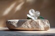 © 怡如 柯 - Minimalistic Still Life with White Flower on Textured Stone and Soft Shadows in Beige Background
