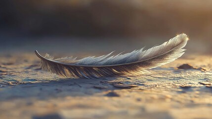 Wall Mural - serene sunset feather: a moment of tranquil beauty