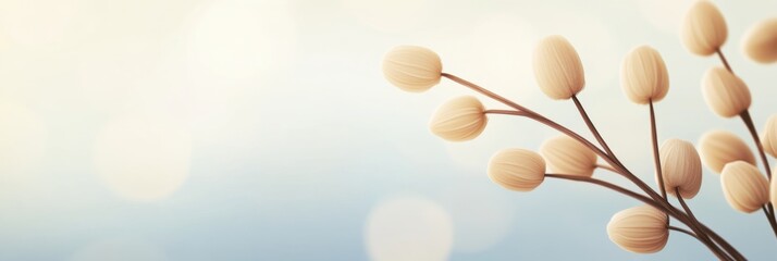 Poster - Twirling branch adorned with blossoms in soft pastel hues on a gentle white background