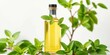 © ฉัน ก็คง - Elegant mint oil bottle, fresh leaves, minimalist backdrop, clean,  natural product
