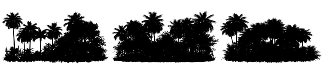 Tropical forest collection with palm trees and shrubs, exotic garden foliage, black silhouette with transparent background.