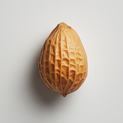 Poster - Single roasted peanut in its shell resting on a neutral background in a well-lit environment showcasing its texture and shape