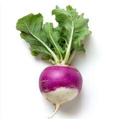 Poster - Fresh purple turnip with smooth skin and vibrant green leaves on a clean background