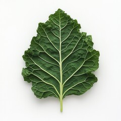 Poster - Fresh kale leaf showcasing vibrant green color and intricate texture, perfect for healthy cooking and salads