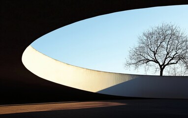 Poster - A minimalist image shows a view of a leafless tree through a curved, oval-shaped opening in a white wall. The scene is bathed in soft, natural light, casting shadows on the ground. The overall color