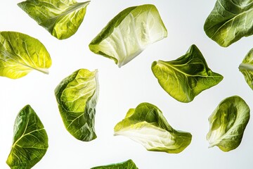 Aufkleber - Fresh vibrant lettuce leaves on white background for a refreshing visual in abstract food photography