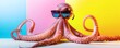 © kirania - A pink octopus wearing cool sunglasses with bright colorful background