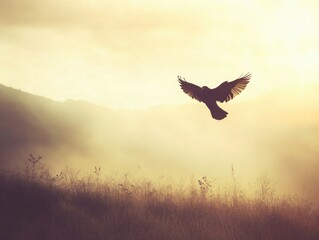 Poster - A bird soars through the sky above a lush green field, perfect for illustrations of nature, freedom or adventure