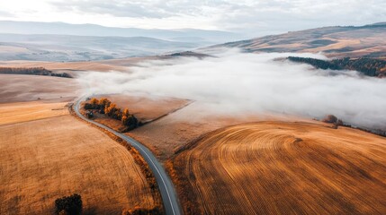 Poster - Aerial landscape abstract background idea. Breathtaking aerial view of foggy fields and rolling hills during sunrise.