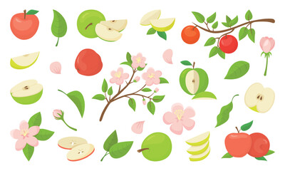  Apple branches. Garden elements, apples fruits, pink flowers and blossom tree branch. Agriculture, harvesting and planting, nature neoteric vector elements