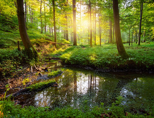  Generated image　森の泉