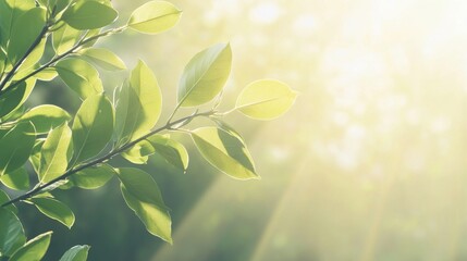 Poster - A natural setting like the forest with its lush green leaves and plants can be utilized as a cover page for themes related to spring, environment, ecology, greenery, or sustainability, particularly