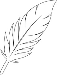 Poster - Black Feather Vector Line Art Illustration – Minimalist Feather Drawing for Designs