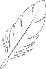 Poster - Black Feather Vector Line Art Illustration – Minimalist Feather Drawing for Designs