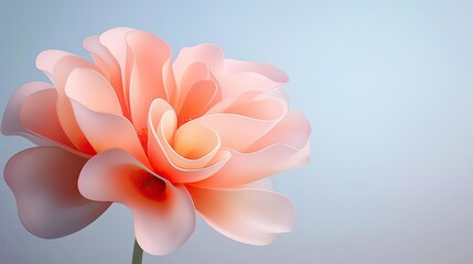 Poster - Floral illustration abstract background concept. A delicate peach rose blooms gracefully, embodying beauty and elegance in nature.
