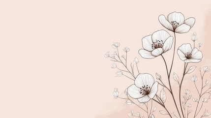 Poster - Floral illustration abstract background concept. Delicate line-drawn flowers on a soft pastel background, representing tranquility and beauty.