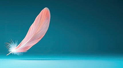 Poster - Pastel color illustration abstract background idea. A delicate pink feather gracefully floating against a serene blue backdrop.