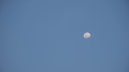 Wall Mural - half moon floating on blue sky in twilight background
