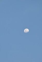 Wall Mural - half moon floating on blue sky in twilight background