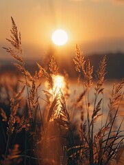 Wall Mural - golden hour serenity, sun-kissed reeds embracing nature's tranquil scene