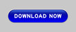 © bankrx - Blue color capsule shape button with word download now on gray background