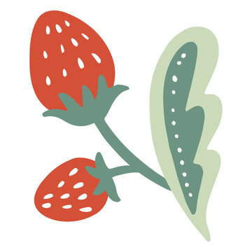 Strawberry Illustration: Charming illustration of two ripe strawberries with a leaf, rendered in a clean, modern style.