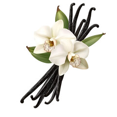 Poster - Stunning and elegant arrangement featuring fresh vanilla orchid blossoms alongside delicate vanilla bean pods  beautifully displayed on a transparent background