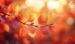 © kong - Autumn Maple Leaves Bokeh Lighting in Vivid Orange and Red Hues