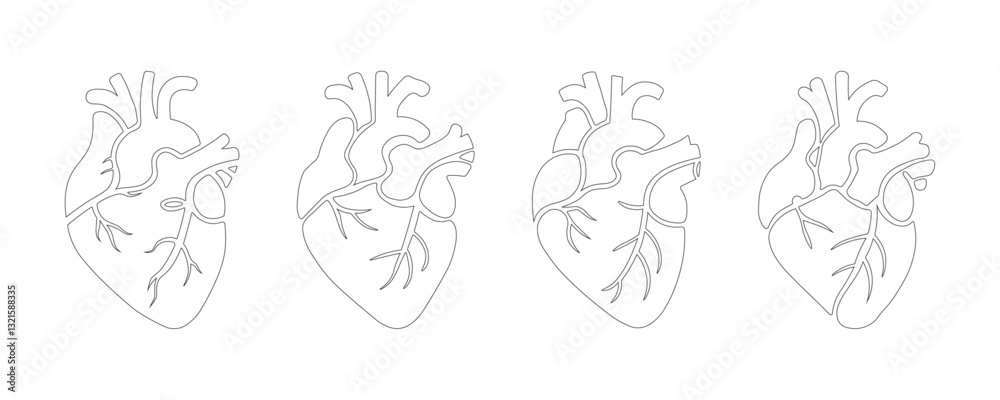 Anatomical Heart Line Art Vector Icon Set – Human Heart Sketch Outline ...