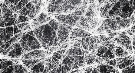 Abstract black and white web-like texture.