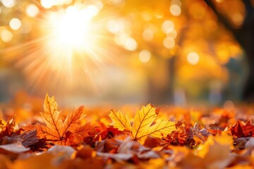 Poster - Golden maple leaves covering ground in sunny autumn park